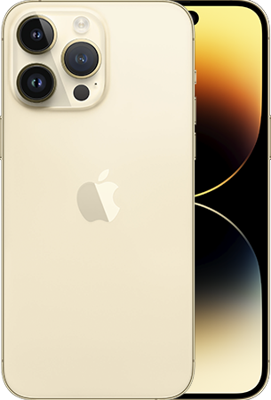 dvi-back-front_iPhone14-Pro-Max_Gold_305x450