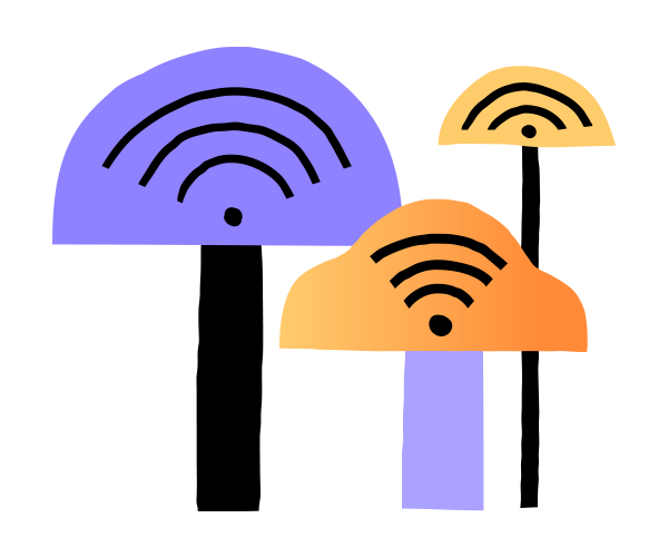 wifi plus wifi plus